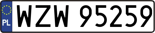 WZW95259