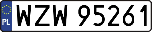 WZW95261