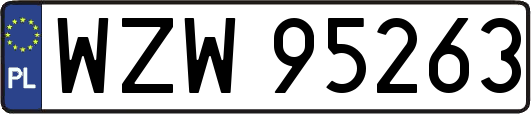 WZW95263
