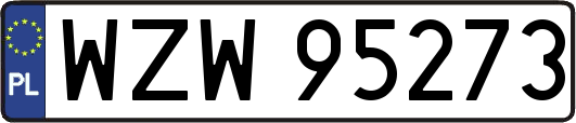 WZW95273