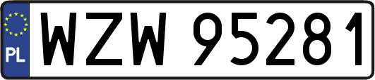 WZW95281