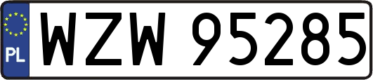 WZW95285