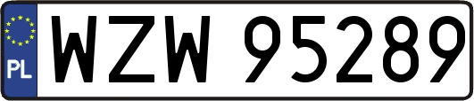 WZW95289
