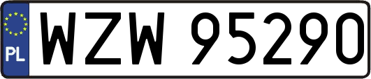 WZW95290