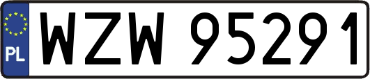WZW95291