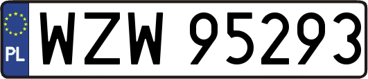 WZW95293