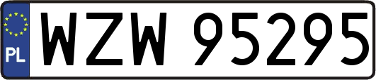 WZW95295