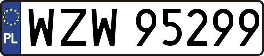 WZW95299