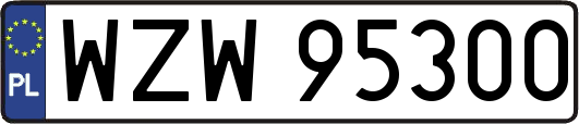 WZW95300
