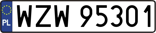 WZW95301