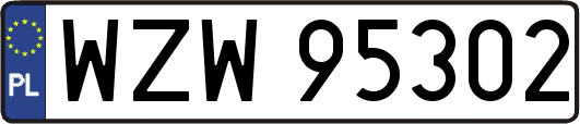 WZW95302