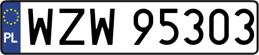 WZW95303
