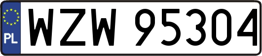 WZW95304