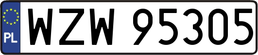 WZW95305