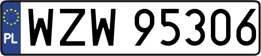 WZW95306