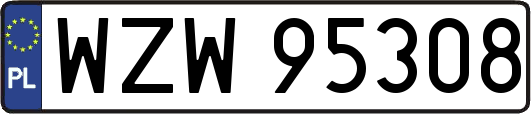 WZW95308