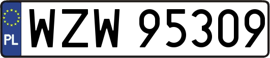 WZW95309
