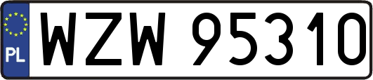 WZW95310