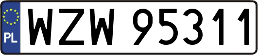WZW95311