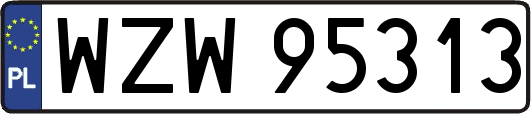 WZW95313