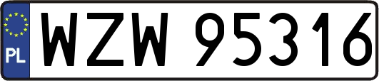 WZW95316