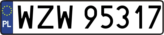 WZW95317