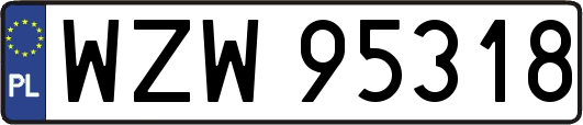 WZW95318