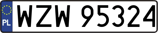 WZW95324