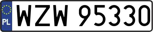 WZW95330