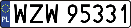 WZW95331