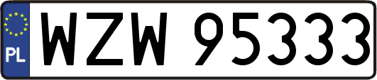 WZW95333