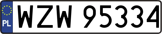 WZW95334