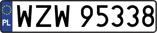 WZW95338