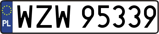WZW95339