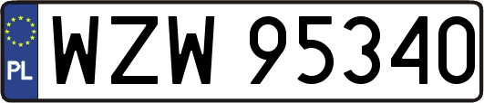 WZW95340