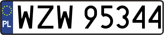 WZW95344