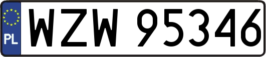 WZW95346