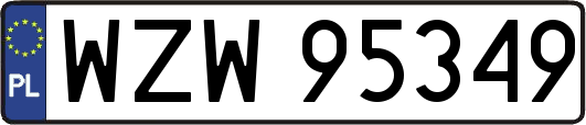 WZW95349