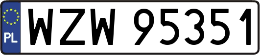 WZW95351