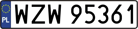 WZW95361