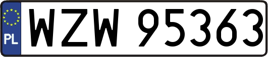 WZW95363