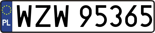 WZW95365
