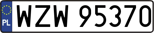 WZW95370