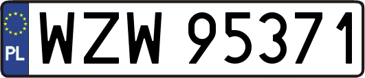 WZW95371