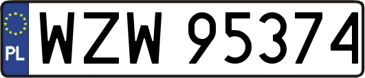 WZW95374