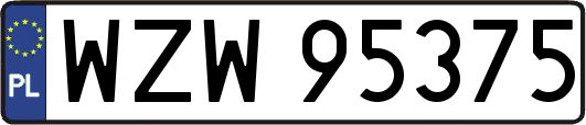 WZW95375