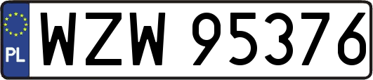 WZW95376