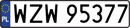 WZW95377