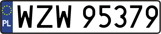 WZW95379