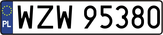 WZW95380